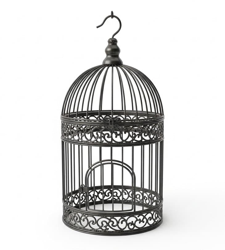 Birdcages